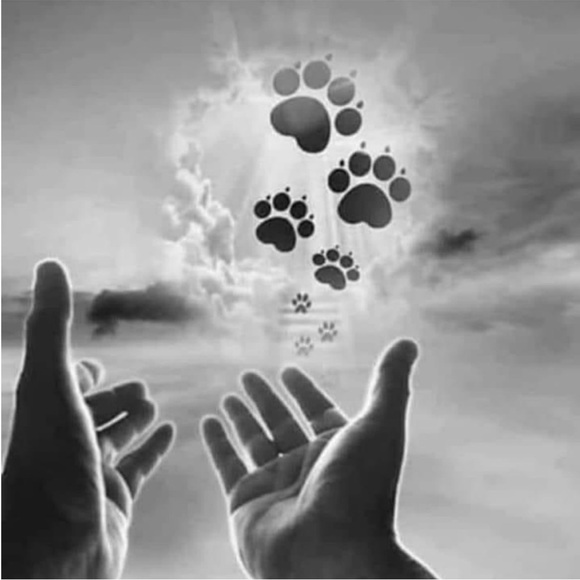 @tt1342 Giveaway Snack, Starbucks or Stickers? - Picture 15 of 15